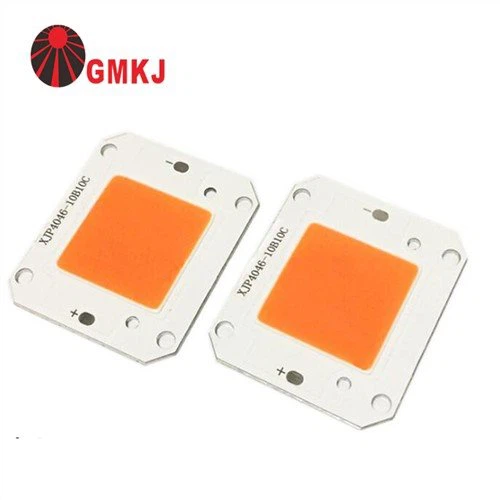 30W COB Čip za LED Street Light