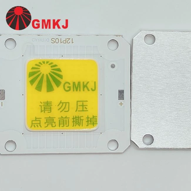 GMKJ High Power 4046 Cob Led 20w 30w 40w 50w 60w 70w 80w 90w 100w Cob Led 6500k